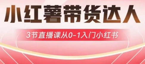 小红薯达人带货启航计划，3节直播课从0-1入门小红书-众创网