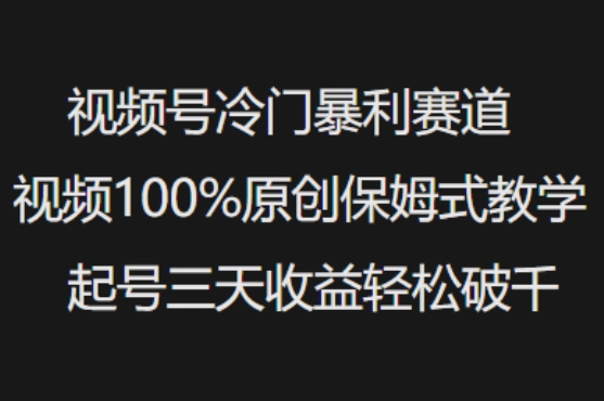 视频号冷门暴利赛道视频100%原创保姆式教学起号三天收益轻松破千-众创网